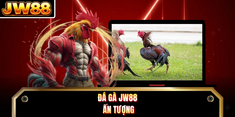 Đá gà JW88 ấn tượng